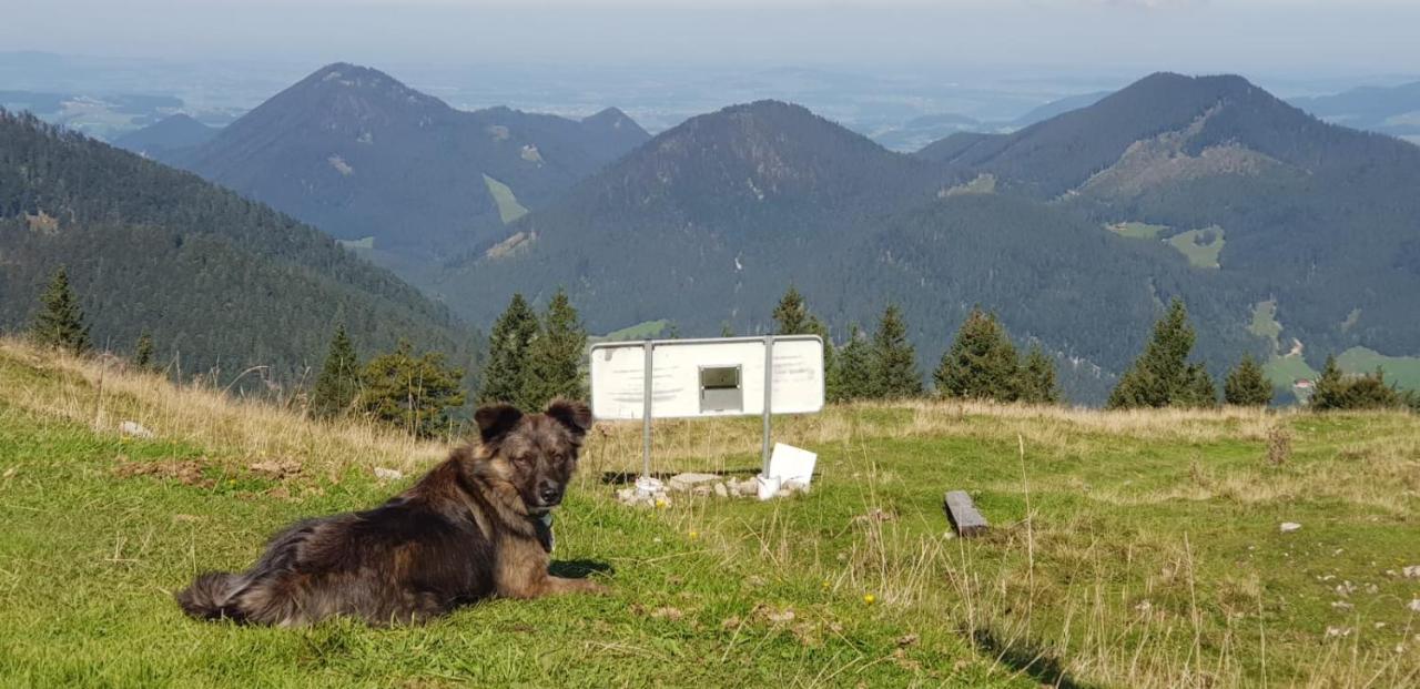 Hotel Alte Post Faistenau Exteriér fotografie